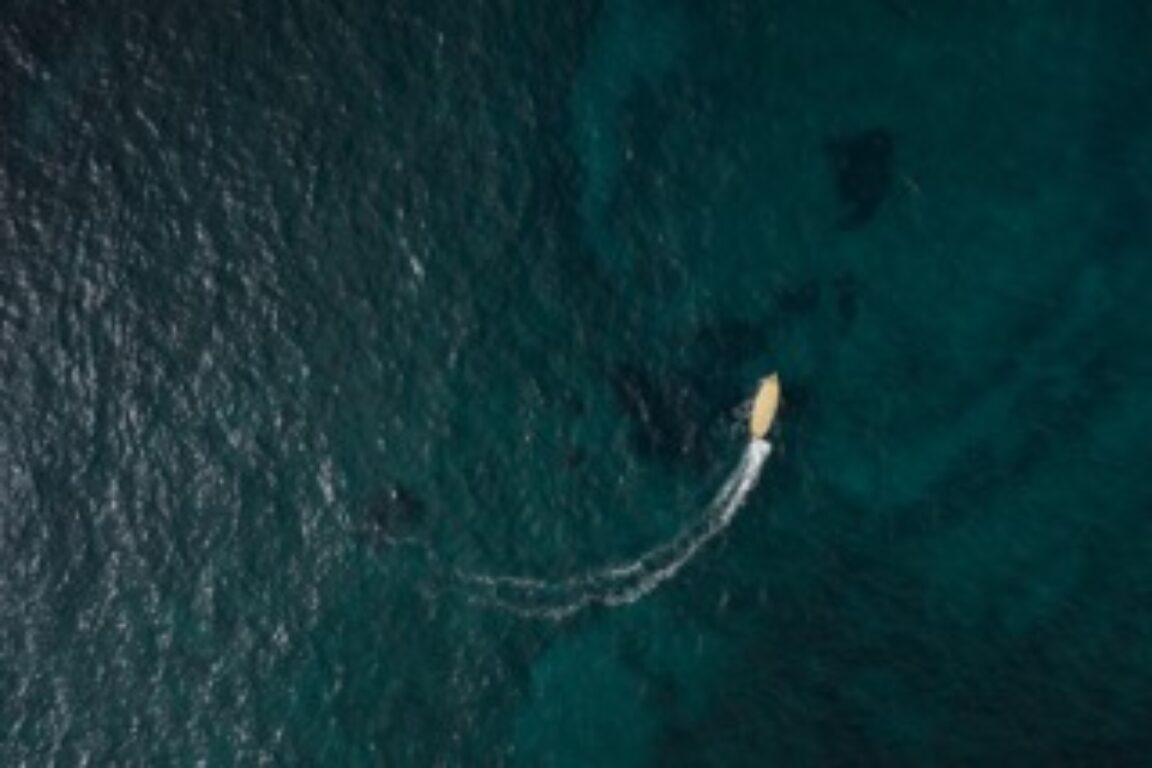 foto Come polvere nel vento